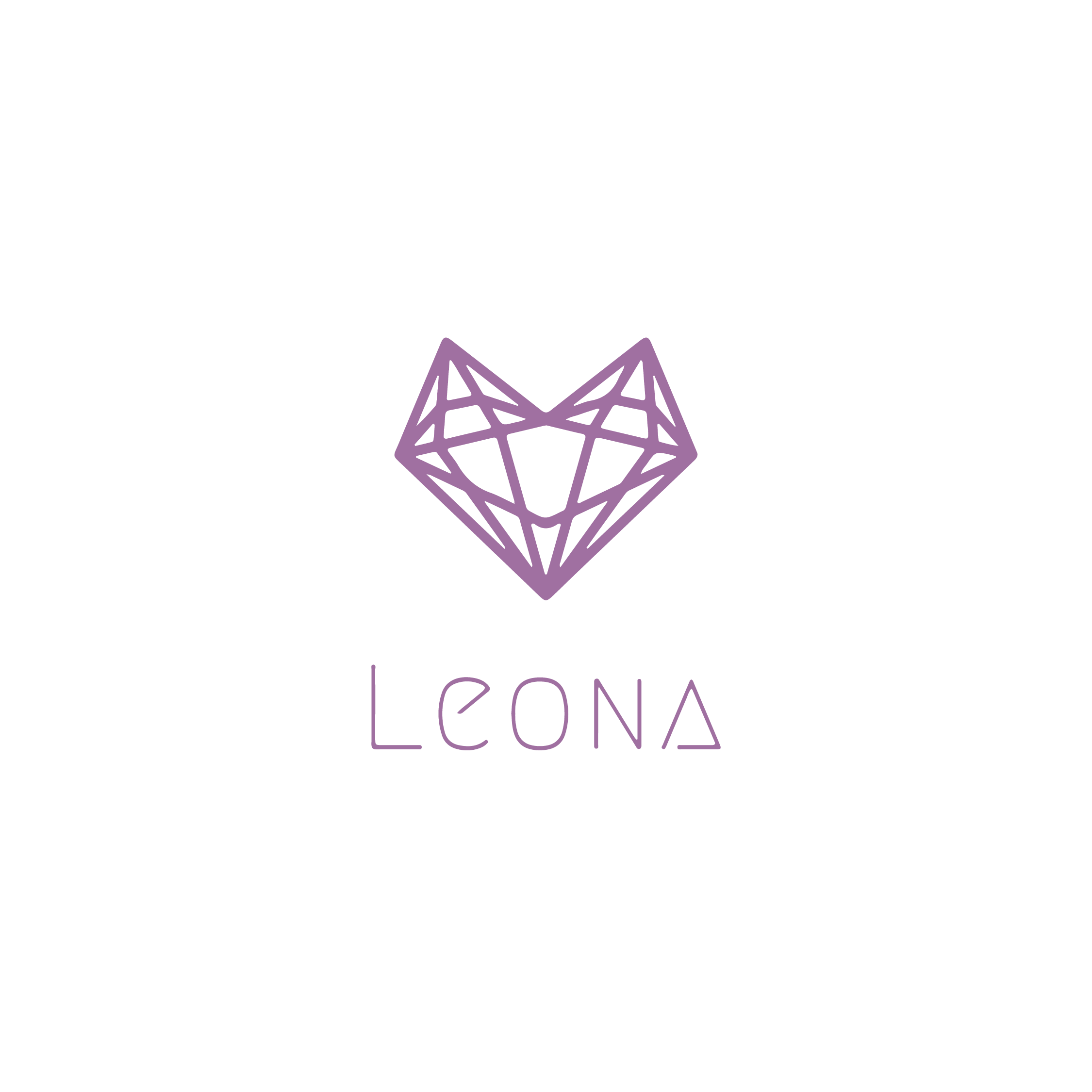 Cash on delivery fee - Leona Jewelry